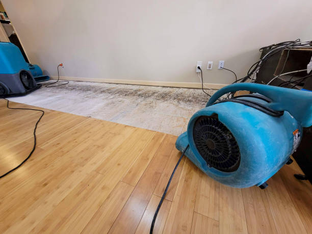 Professional Structural Drying technician working in Newmarket, NH